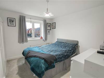 Picture 11